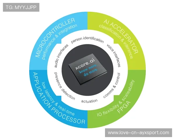 布莱顿的科技之路：用创新驱动实现长线回报